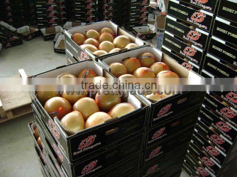 2013 new crop fresh honey pomelo