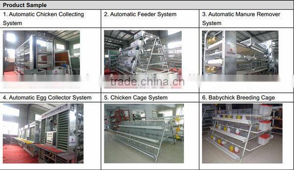 best quality and cheap price broiler chicken raised access floor system