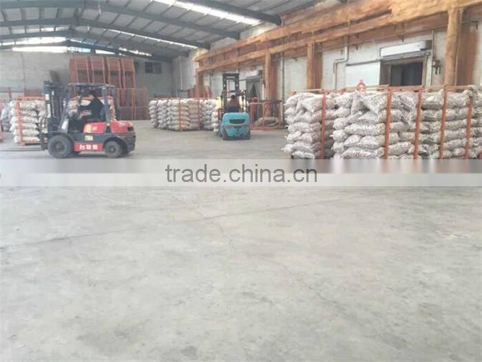 garlic in brine garlic pickles garlic