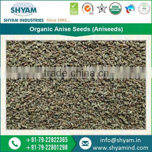 Wholesale Manufacture of Organic Anise Seeds at Affordable Price