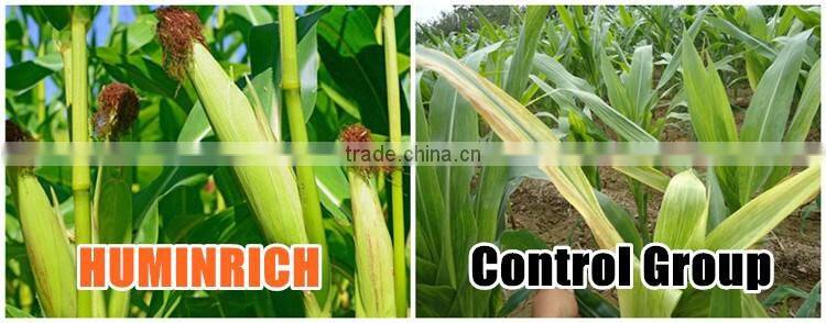 Huminrich Economic Special Fertilizer Chelation Supplements