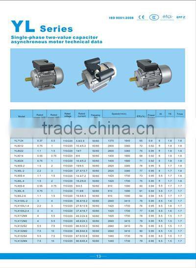 YLX132S4 single phase two value capacitor high efficient asynchronous AC motor