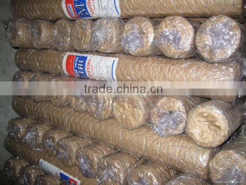 galvanized hexagonal wire mesh for chicken