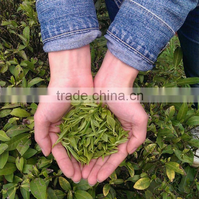 2015 Jasmine flavor pine needle green tea