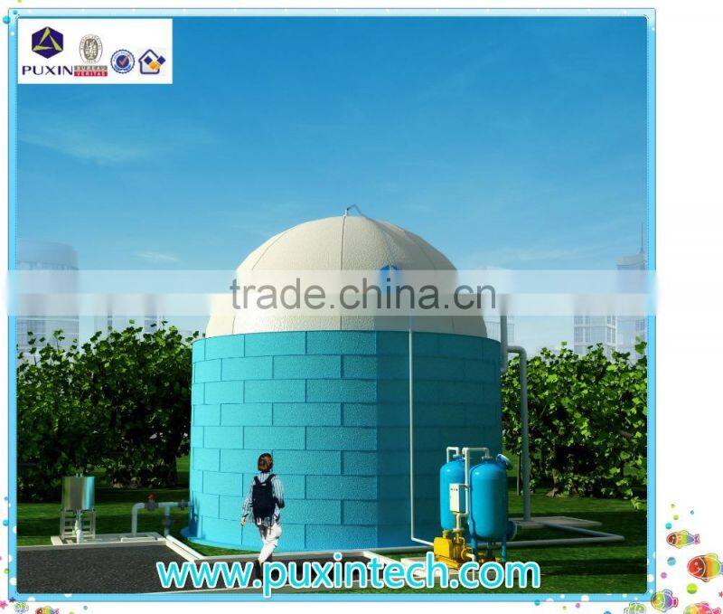 China Puxin Biogas Septic Tank for School Sewage Treatment System