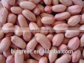 Peanut kernels in long shape for sale