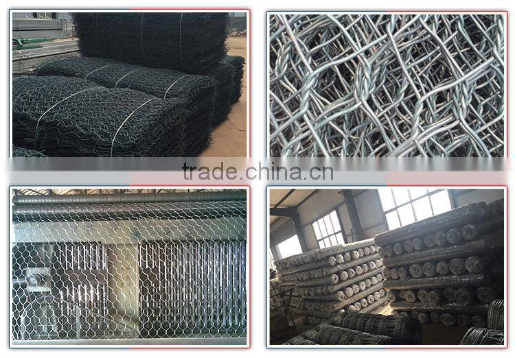 Chicken hexagonal wire mesh 10mm