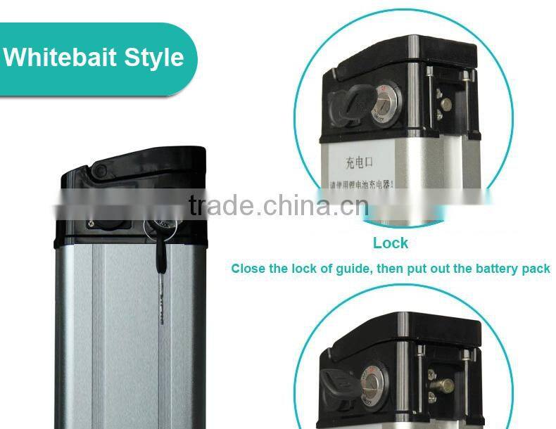 Rechargeable battery pack for electric bike