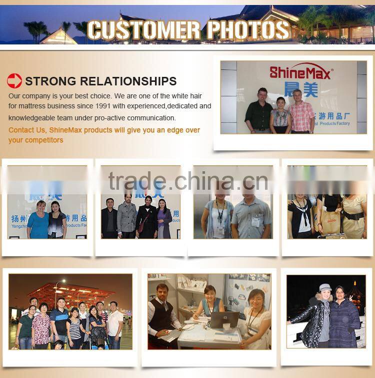 hotel down feather mattress pad/hotel water proof mattress topper/ hotel feather bed duck