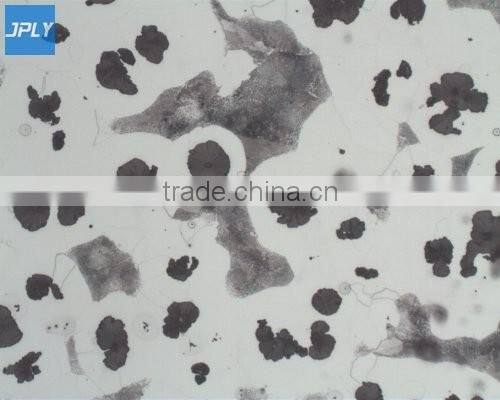 Monochrome metallographic analysis invert Microscope camera