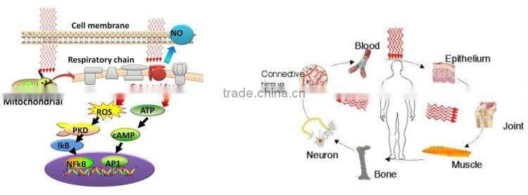 led facial mask for skin rejuvenation