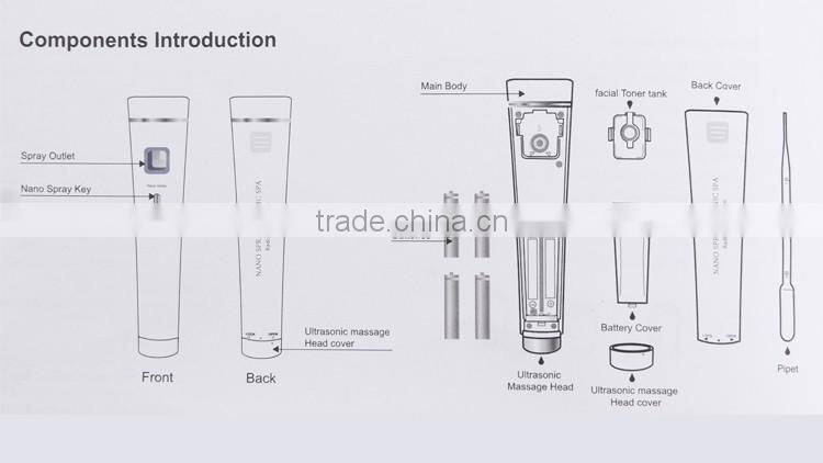 Facial Ice Steamer Face Steam Spa Beauty Salon Equipment