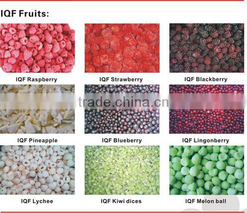 china good price for frozen lingonberry