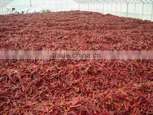 Horizontal Conveyor machine