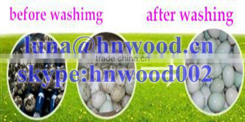 2000~3000 pcs per hour automatic egg cleaner machine