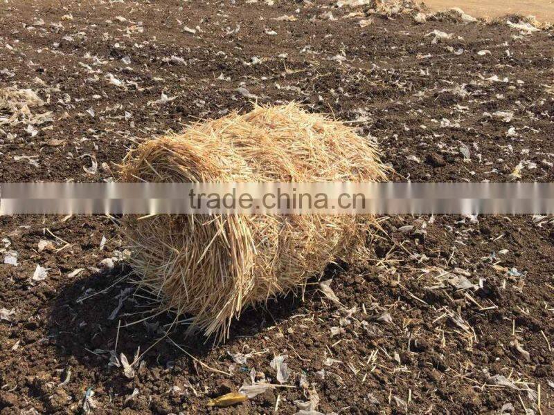Walking type straw bundling machine 9YK-8070
