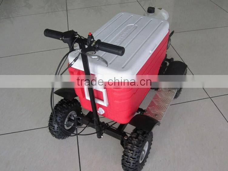 43cc EPA approved gasoline refrigerator scooter/cooler box scooter for adult (TKS-S43)