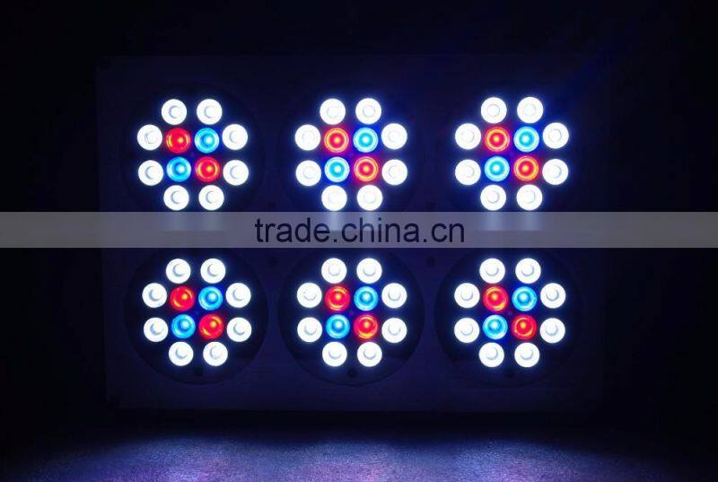 High quality apollo cob 6 led grow light for grow plant