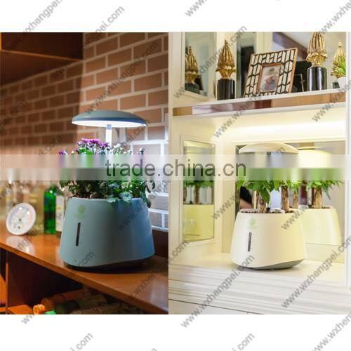 Mini hydroponic smart garden