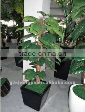 china new products,mini bonsai,artificial Scindapsus aureus