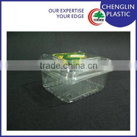 disposable transparent fruit tray design