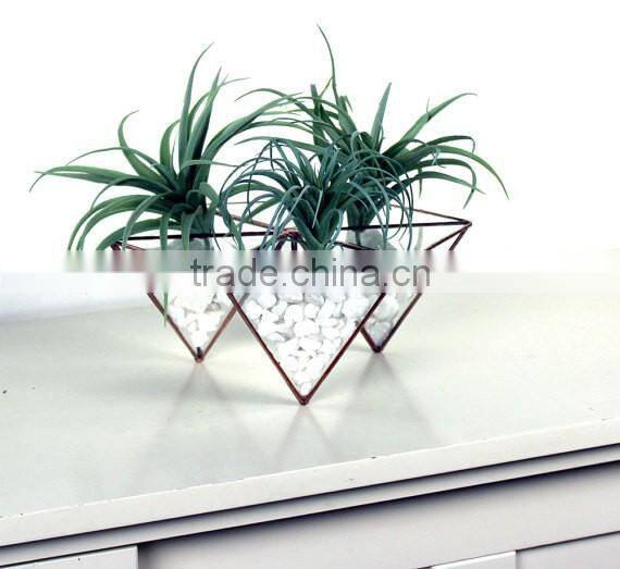 Trendy Modern Geometric Hexagon Stained Glass Terrarium