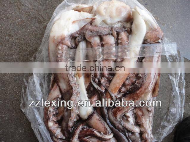 frozen peru giant squid tentacle,wing,neck,fillet,tube