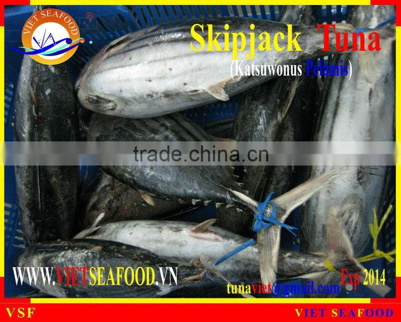 W/R FROZEN SKIPJACK TUNA