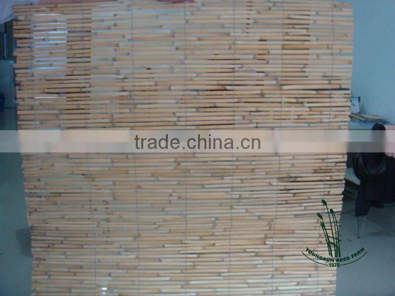 reed slat fence