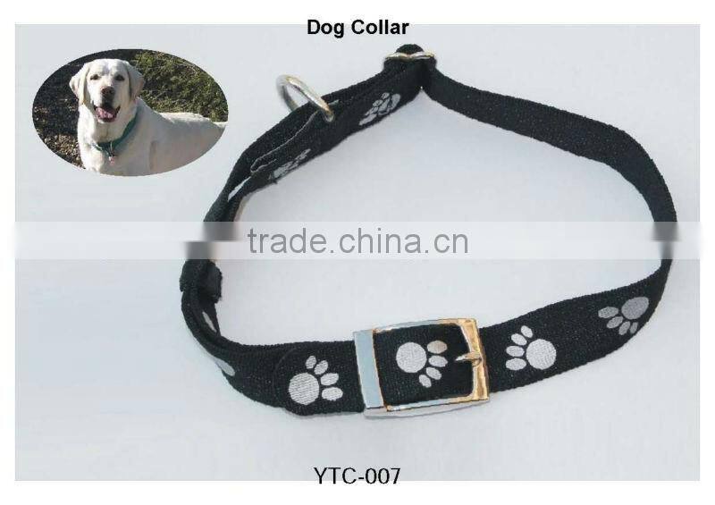 dog collar pet products