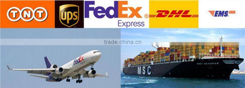 Children cat Mask Cartoon fox Mask Animal kid felt Mask