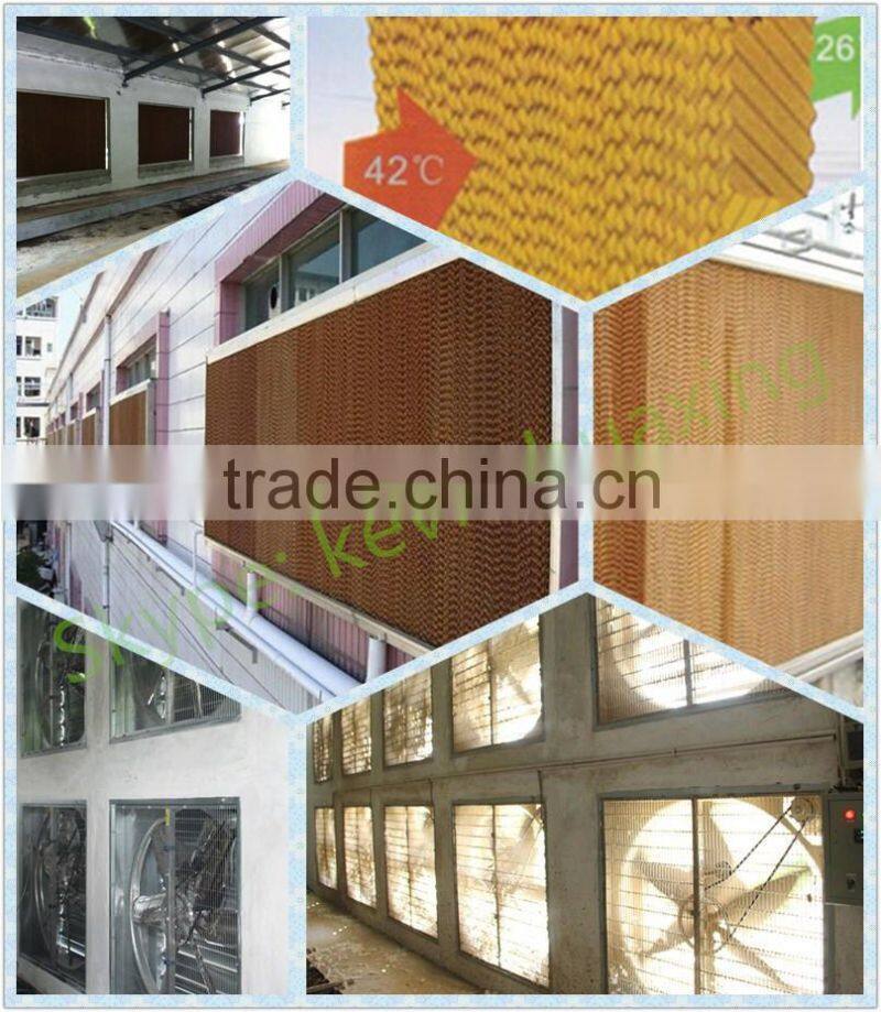 broiler battery cages with automatic system