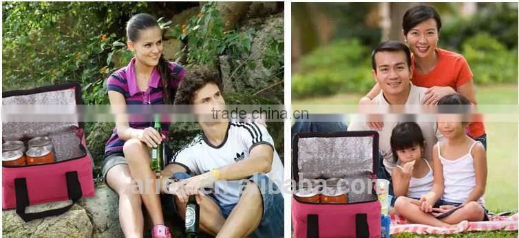 Funny Human Organ Transplant Lunch Bag Cooler, holds 6 pack Ex.Cond.Medical gift