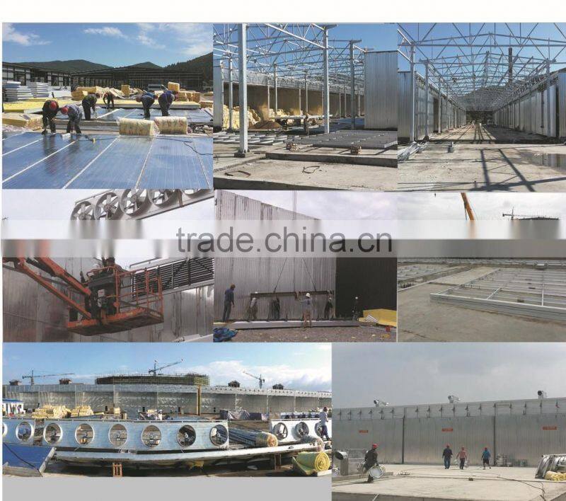 High efficiency wood drying oven/wood drying cabinet, timber drying cabinet