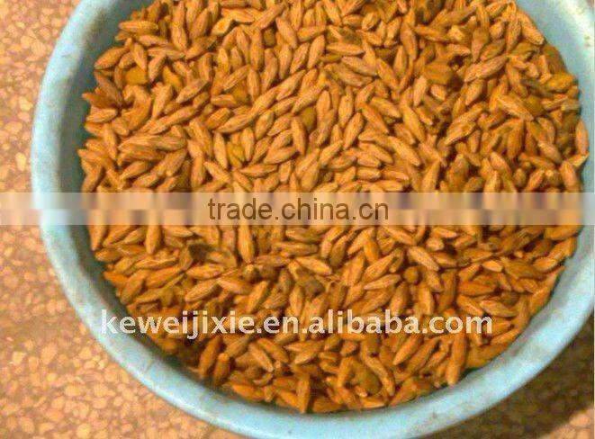 LQJ Model cold stoning machine