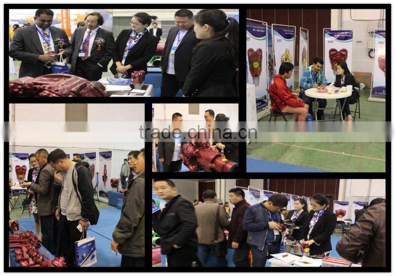 Chevron Type Bit (2 3/4"-12 1/4")