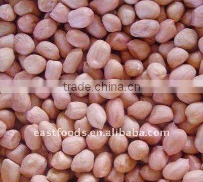 2013Crop Peanut Kernel Round Type 50/60