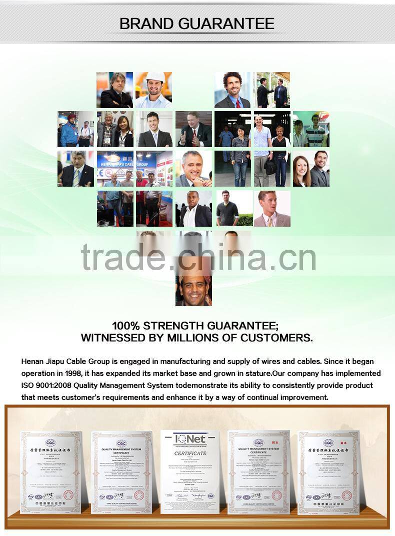 Hot Seller 300/500V PVC Insulated Wire With Reasonable Price