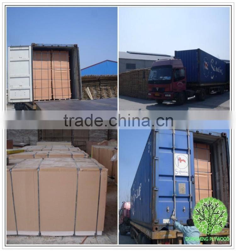 waterproof plywood construction particle board garage cabinets plywood