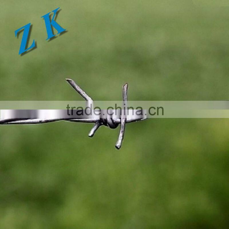 Hot Dipped Galvaznied Barbed Wire for Fence Hebei China