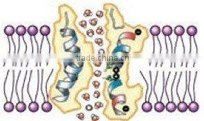 Manufacturer 2014 Mesotherapy Skin Rejuvenation RF facial Machine