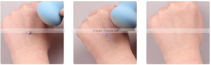 Cosmetic Makeup Sponge/Beauty Sponge/Sponge