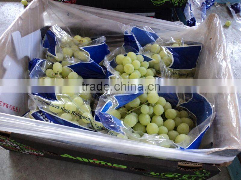 2014 crops fresh grapes