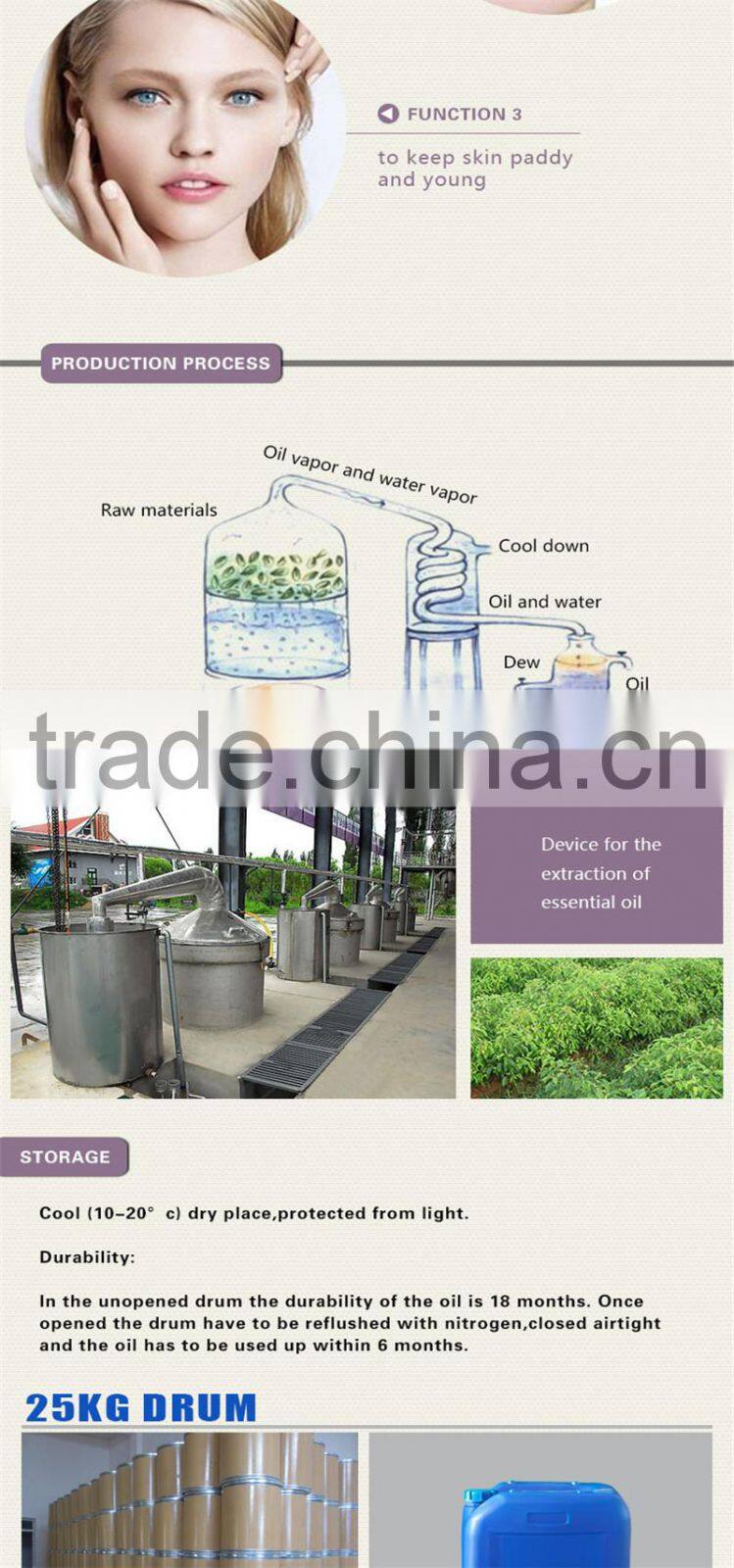 100% pure wheat germ oil for cosmetic oil