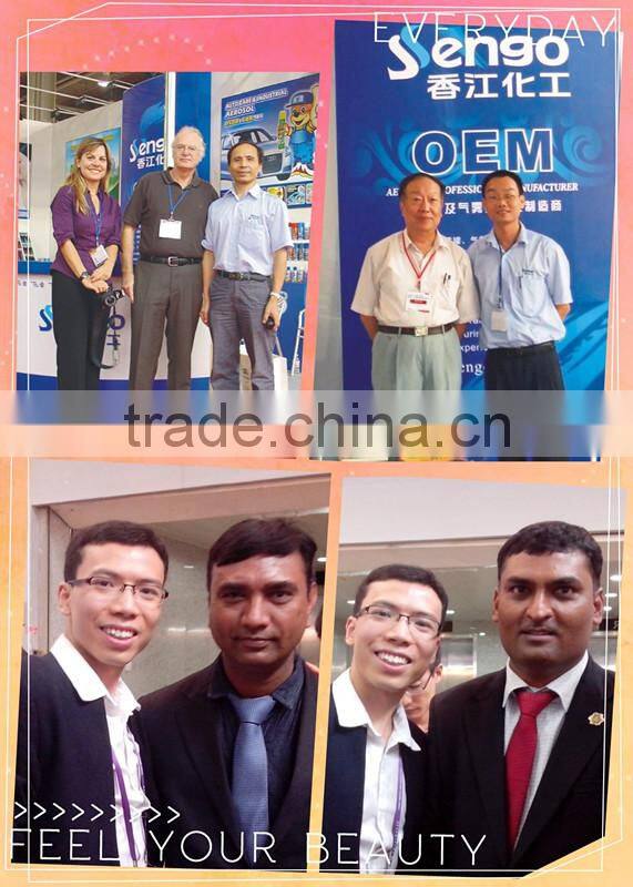 2014 high quality brake cleaner