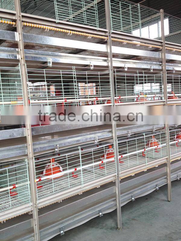 layer/chicken/broiler cages for poultry farm sale