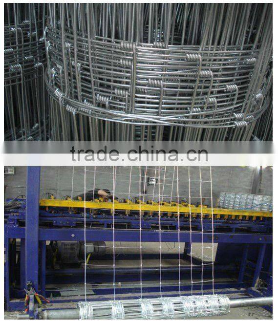 High Tensile goat sheep Fence