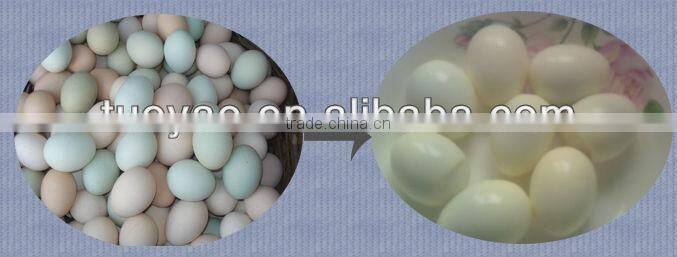 2015 new arrival boiled chicken egg skin removing machine in alibaba SMS:0086-15238398301