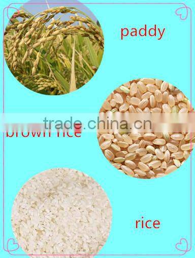 household embryo rice machine