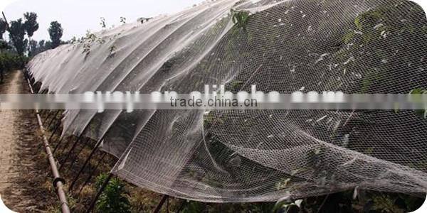10*10/ 6*6 anti insect net
